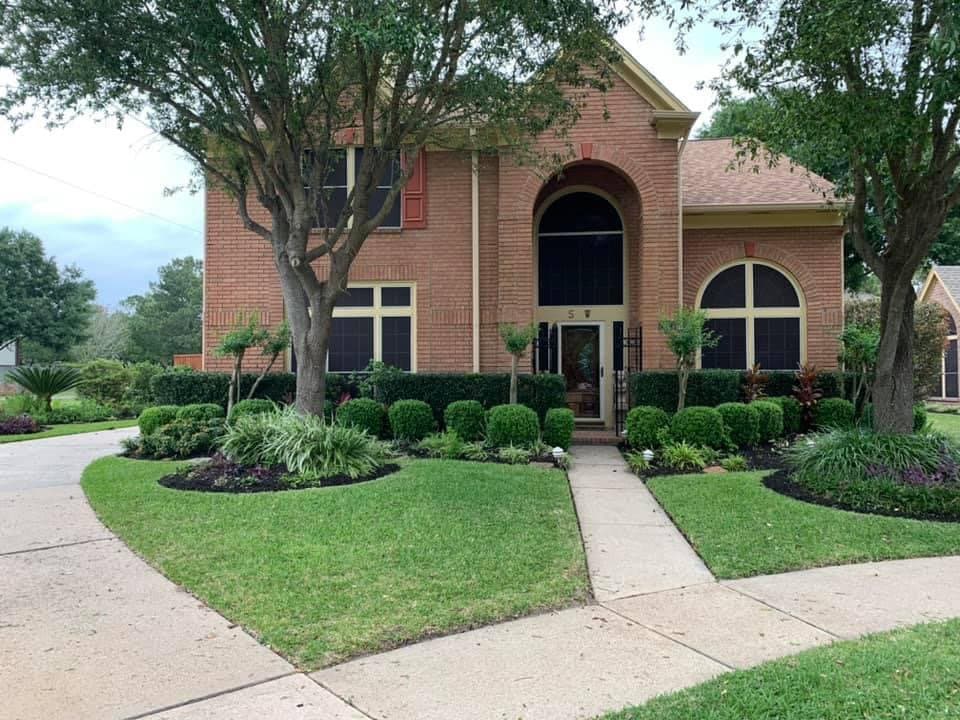 Freshly mowed and edged green lawn at a Houston home