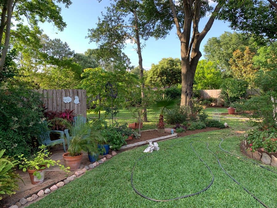 Mature shade trees over a landscaped Houston backyard garden