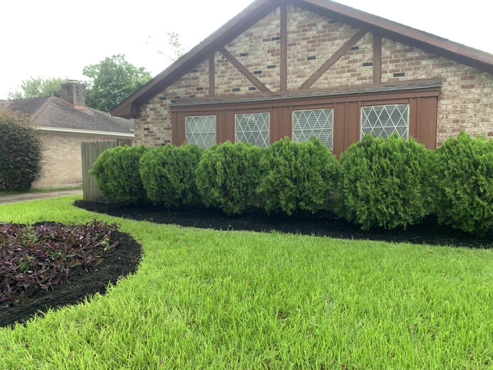 Neatly rounded foundation hedges framing a brick Houston home