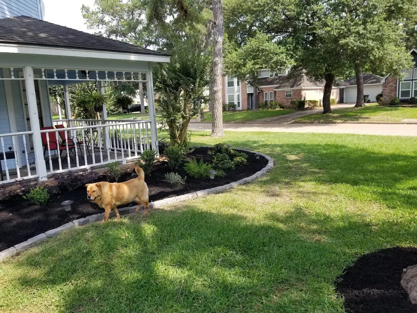 Cleared and tidied front yard at a Houston home after debris removal